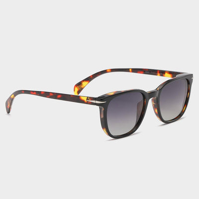 Legacy Wolf Sunglasses - ON SLICE