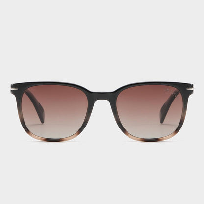 Legacy Wolf Sunglasses - ON SLICE